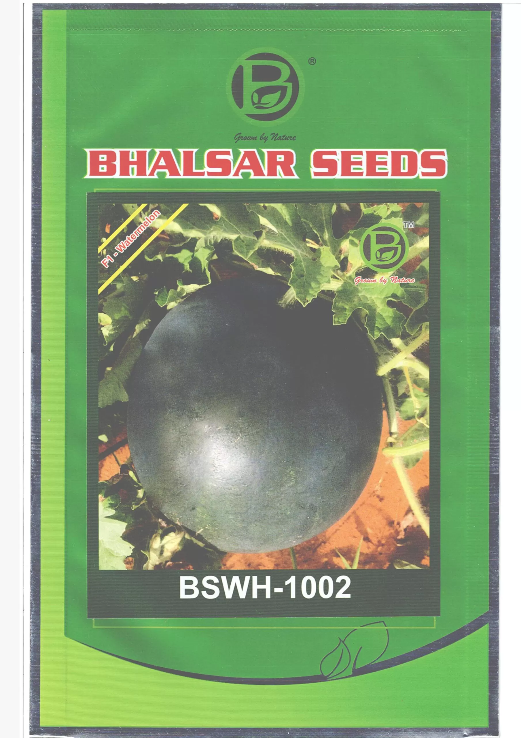 Water melon Hybrid BSWH-1002 Seeds (25gm)