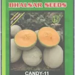 Musk melon Hybrid Candy-11 Seeds (10gm)