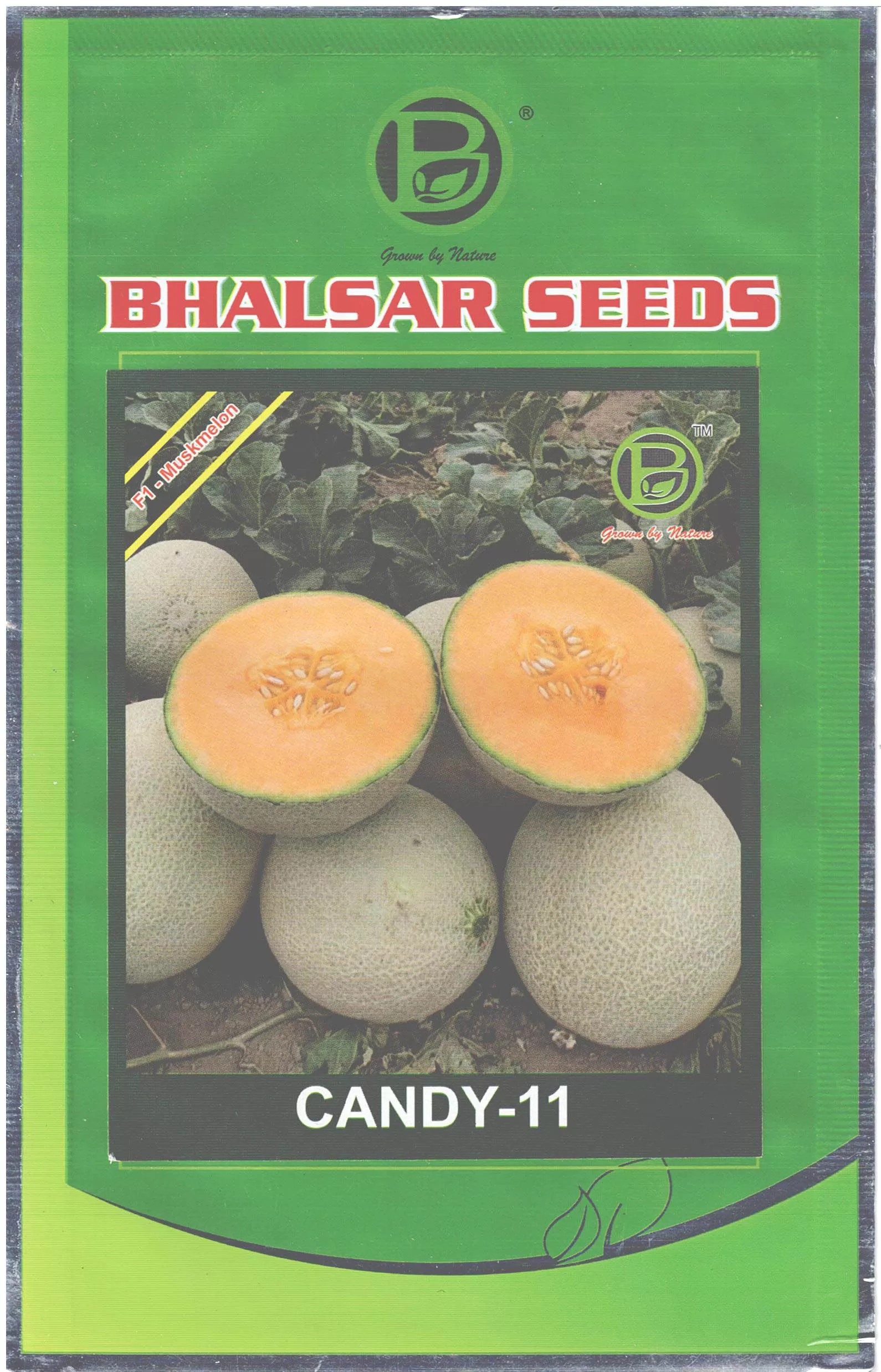 Musk melon Hybrid Candy-11 Seeds (10gm)