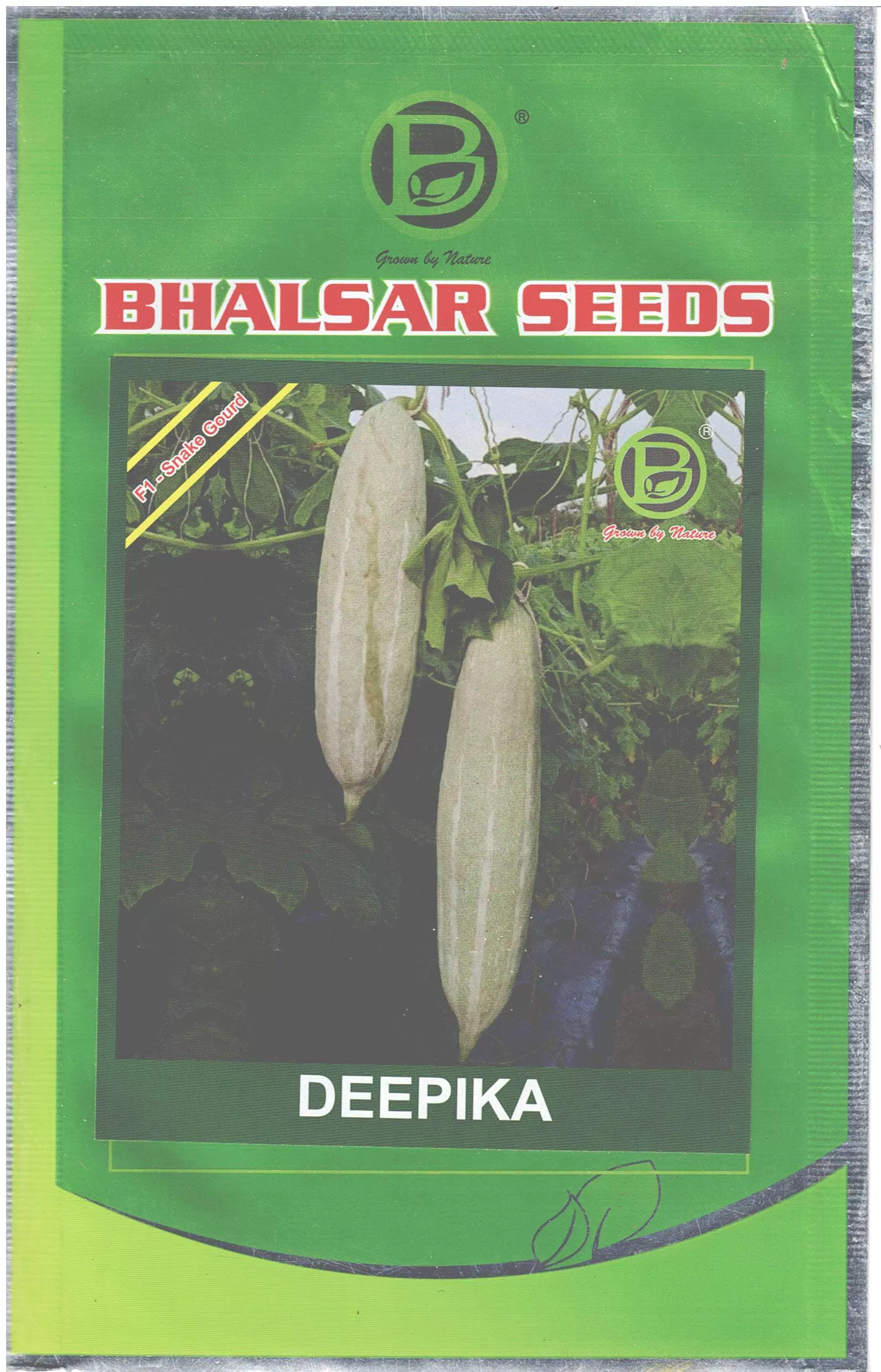 Snake Gourd Hybrid Deepika Seeds (25gm)