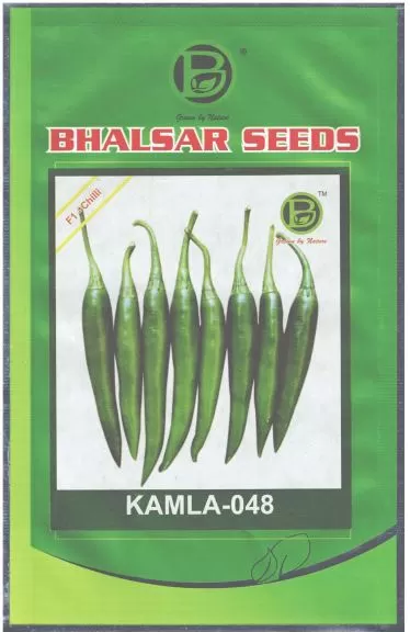 Chilli Hybrid KAMLA-048 Seeds (10gm)