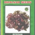 LETTUCE GLADER HYBRID ROSSAN SEED (10gm)