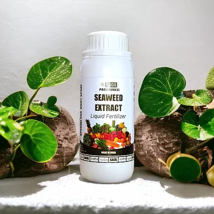 GACIL® Premium Liquid Seaweed Extract Organic Fertilizer for Plant Growth (100ml)