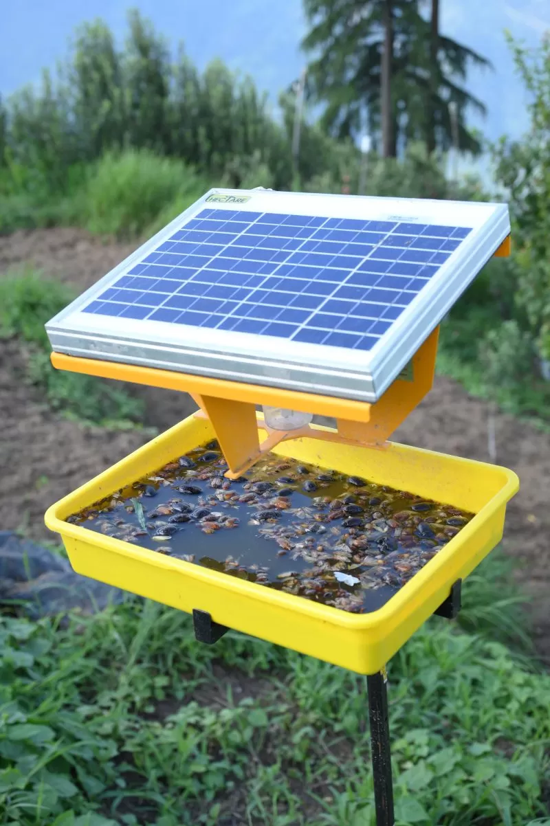 Hectare Solar Insect Trap (9.4kg)