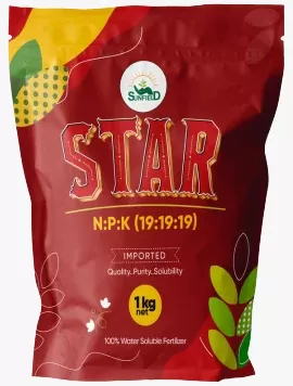 Star NPK 19:19:19 (1kg)