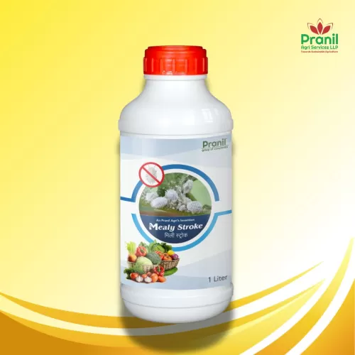 Pranil Agri's Mealy Stroke (1L)