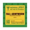 Spodoptera frugiperda (Fall Armyworm)