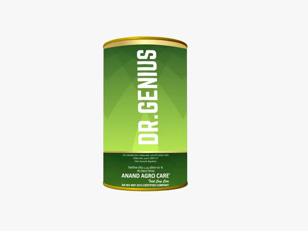 Dr. Genius (100gm)