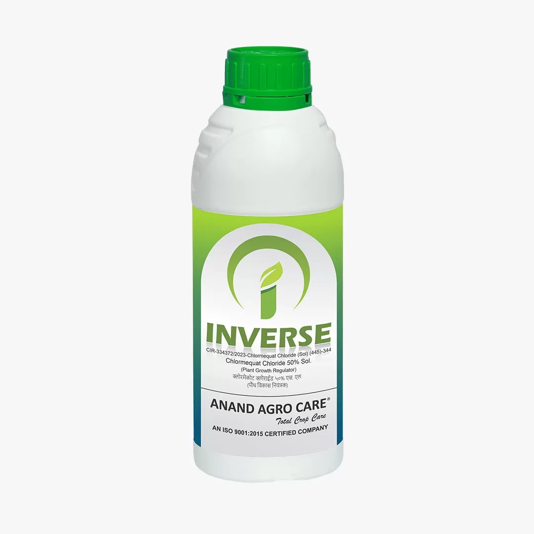 Inverse (100ml)