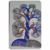 Gond Art (11×15 Size) paper sheet