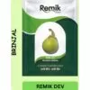 Brinjal Hybrid Seeds (Remik Dev) (2 gm)