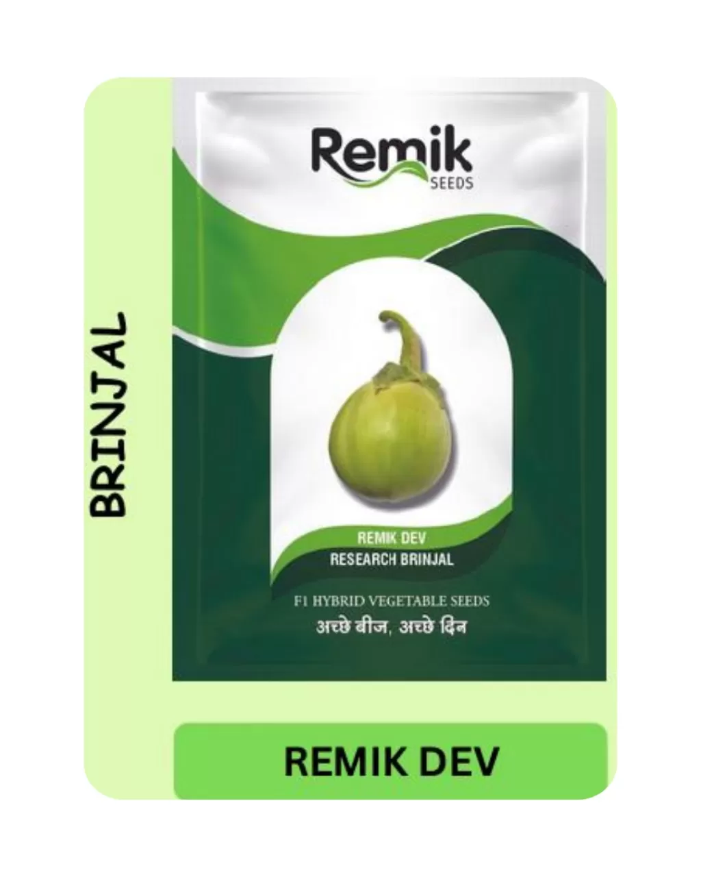 Brinjal Hybrid Seeds (Remik Dev) (2 gm)