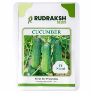 RUDRAKSH F1 NIVED CUCUMBER (GREEN, CYLINDRICAL) SEEDS (10gms)