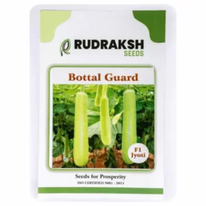 RUDRAKSH F1 JYOTI BOTTLE GOURD (CYLINDRICAL) SEEDS (50gms)