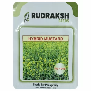 RUDRAKSH HYBRID MUSTARD (RS-1046) (500gms)