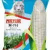Mayur M-751 White Hybrid Maize Seeds (1Kg)