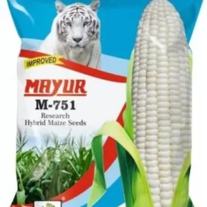 Mayur M-751 White Hybrid Maize Seeds (1Kg)