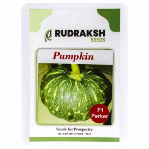 RUDRAKSH F1 PARKAR PUMKIN SEEDS (50 gms)