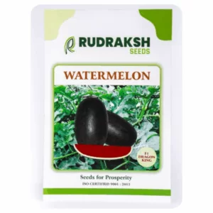 RUDRAKSH F1 DRAGON KING WATERMELON (50 gms)