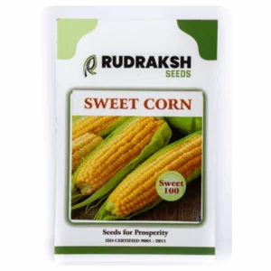 RUDRAKSH F1 SWEET CORN 100 (100 gms)