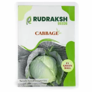 RUDRAKSH F1 GREEN BALL CABBAGE (10 gms)