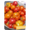 Tomato TN (Bush) (30 - 50 Seeds)