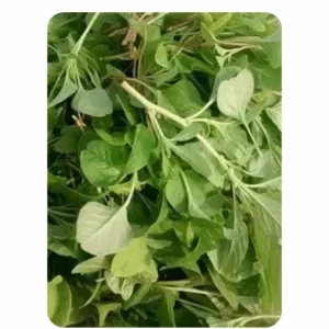 Topical Amaranthus (5 to 10gms Seeds)