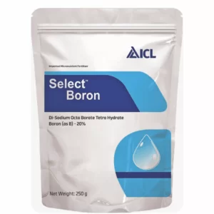 ICL Boron 20% (1 Kg)