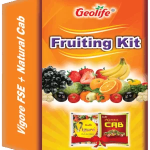 Geo Life Fruiting Kit Fruit Enhancer (60 gms (pack of 10 gms * 50))