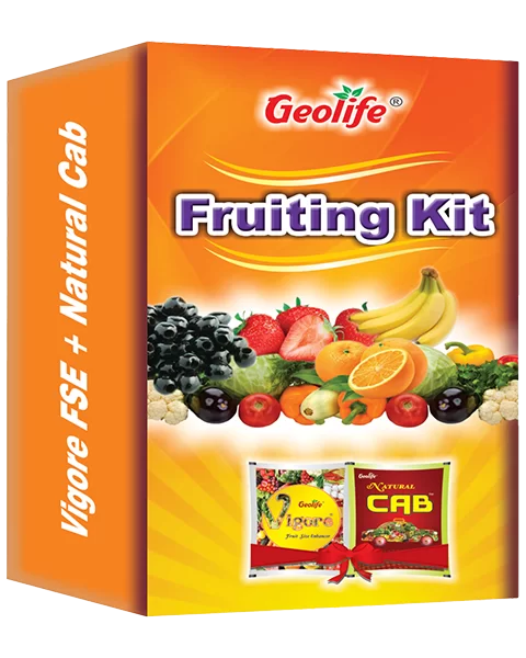 Geo Life Fruiting Kit Fruit Enhancer (60 gms (pack of 10 gms * 50))