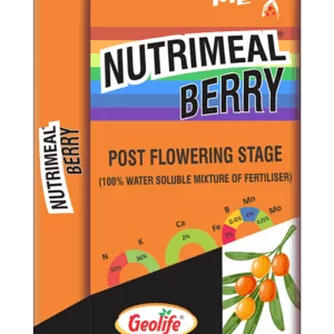 Geo Life Nanomeal Berry (1Kg)