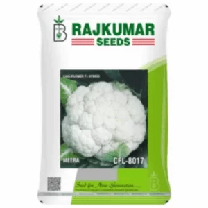 Rajkumar Cauliflower F1 Hybrid Seed (Meera 8017) (10gm)