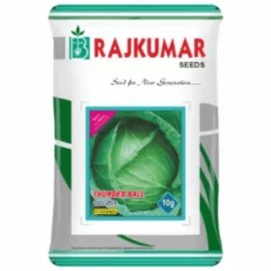 Rajkumar Cabbage Hybrid Seed (Thunder Ball) (10gm)