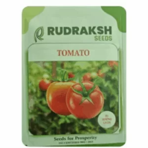 RUDRAKSH F1 ROUND LEON TOMATO SEEDS (10 gms)