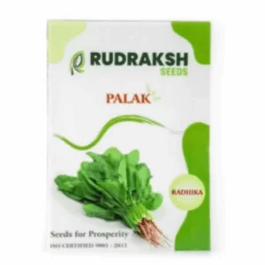 RUDRAKSH RADHIKA ​(ALL GREEN) SPINACH SEEDS (500 gms)