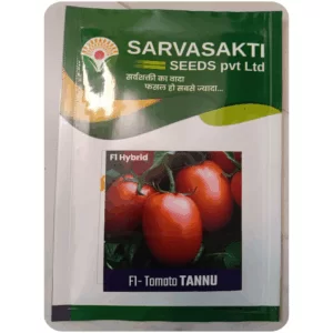 F1 Hybrid Tomato Tannu Seeds (10gm)