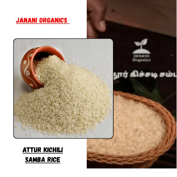 Attur Kichili Samba Rice (26kg)
