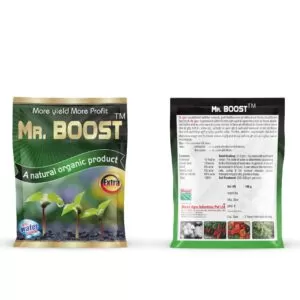 Mr. Boost (100 Gm)