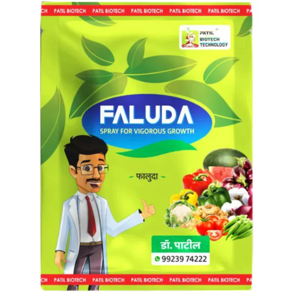 Faluda (12 Gm)