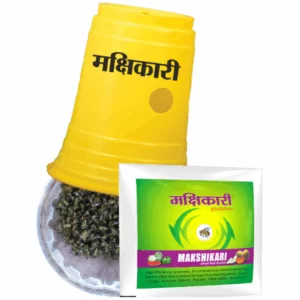 Makshikari Yellow Glass (Trap)