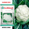 Rajkumar Cauliflower Seeds (Improved karina) (50gm)