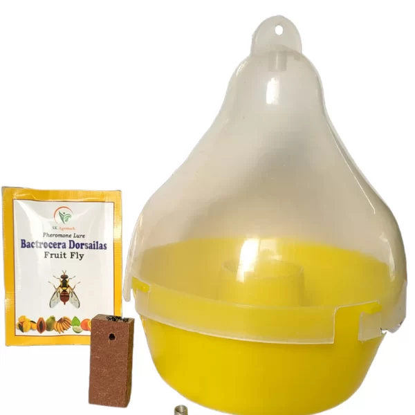 Bactrocera Dorsailas Mac Phil Trap & Fruit Fly Lure ( Pack of 5 )