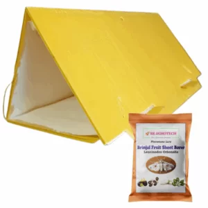 Delta Trap Brinjal Shoot & Fruit Borer Pheromone Lure ( Pack of 5 )
