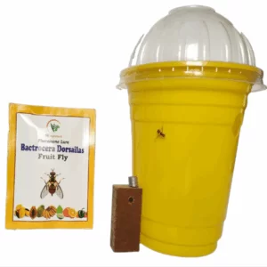 Bactrocera Dorsailas Fruit Fly Trap & Fruit Fly Lure ( Pack of 5 )