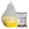 Bactrocera Cucurbitae Mac Phil Trap & Melon Fly Lure ( Pack of 5)