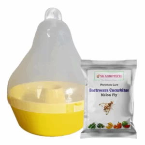 Bactrocera Cucurbitae Mac Phil Trap & Melon Fly Lure ( Pack of 5)