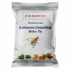 Bactrocera Cucurbitae Melon Fly Lure ( Pack of 5 )