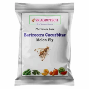 Bactrocera Cucurbitae Melon Fly Lure ( Pack of 5 )