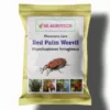 Red Palm Weevil pheromone Lure ( Rhynchophrus Ferrugineus ) ( Pack of 1 )