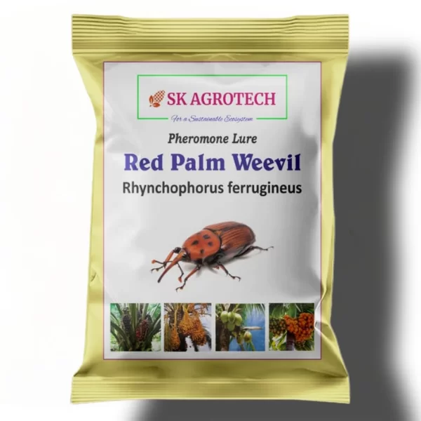 Red Palm Weevil pheromone Lure ( Rhynchophrus Ferrugineus ) ( Pack of 1 )
